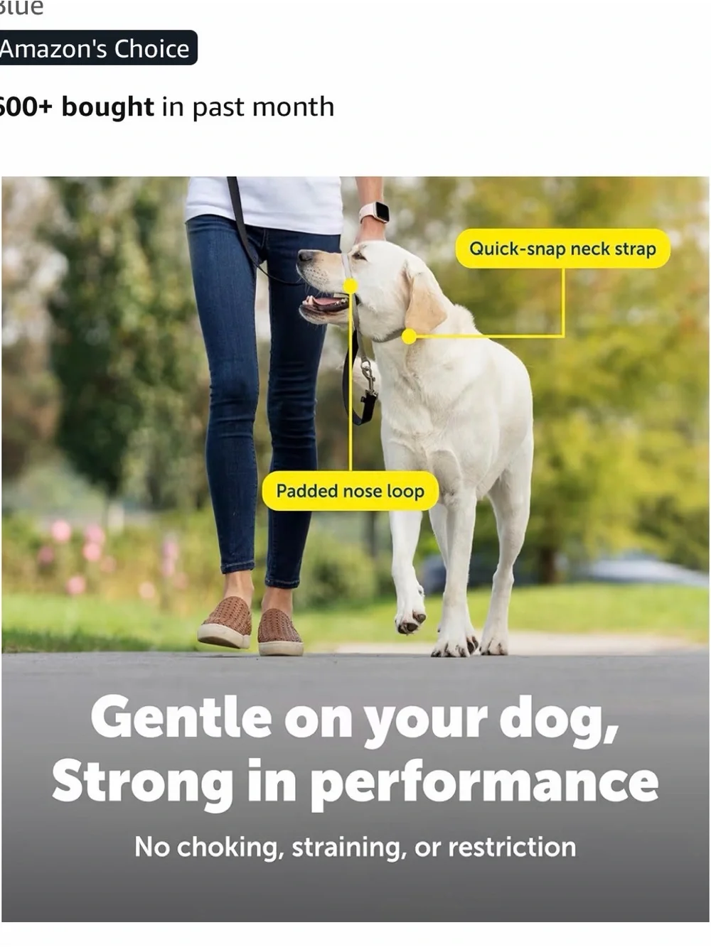 PetSafe Gentle Leader No-Pull Dog Headcollar - Royal Blue Size L